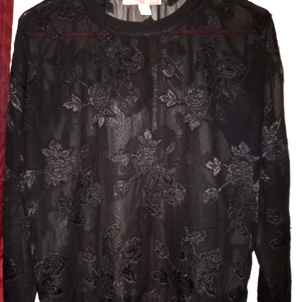Express Black Sheer Lace Blouse